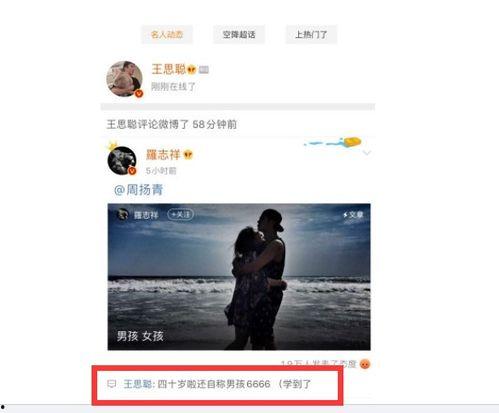 娱乐吃瓜视频网站免费,免费吃瓜，畅享明星幕后故事  第3张
