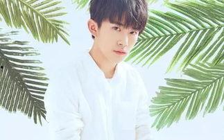 娱乐吃瓜妹易烊千玺小说,娱乐圈的甜蜜瓜田  第2张