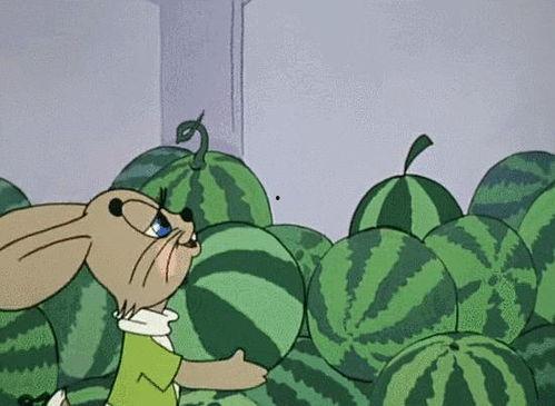 全球吃瓜娱乐,瓜田李下，娱乐盛宴  第2张