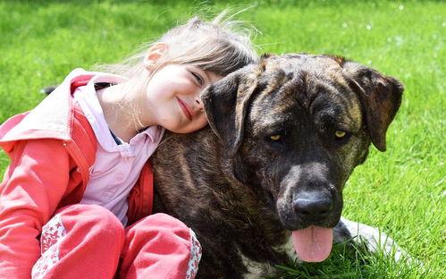 假如狗会说话娱乐吃瓜酱,娱乐吃瓜酱带你领略狗狗界的趣味日常  第3张