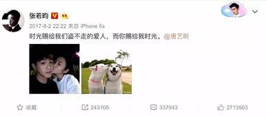 张翰娱乐圈吃瓜爆料,揭秘明星幕后真相  第2张