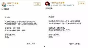 张翰娱乐圈吃瓜爆料,揭秘明星幕后真相  第3张