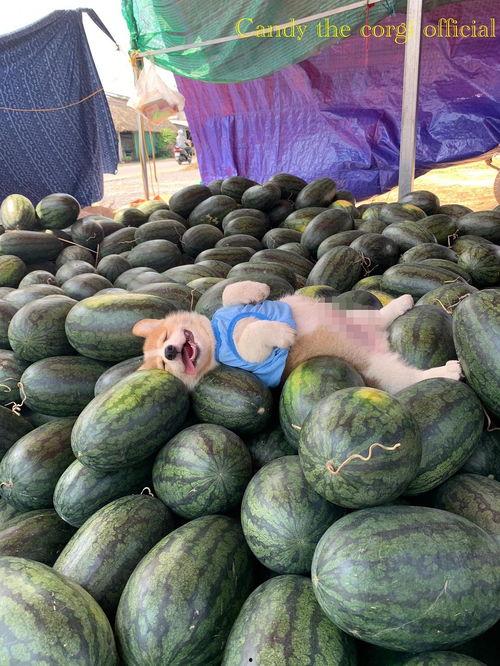 今天吃瓜,盘点娱乐圈新鲜事  第2张